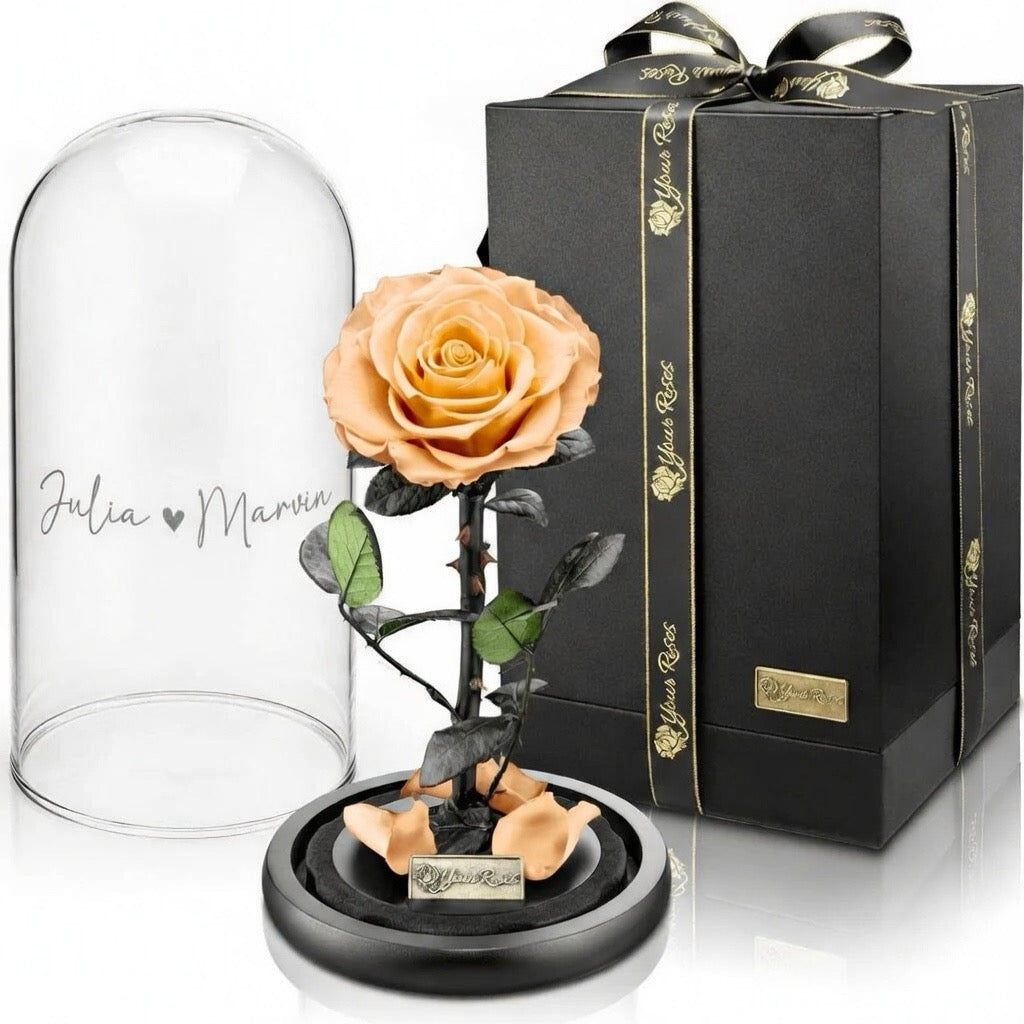 Konservierte Premium Rose im Glas mit Geschenkbox – Personalisiert mit Gravur