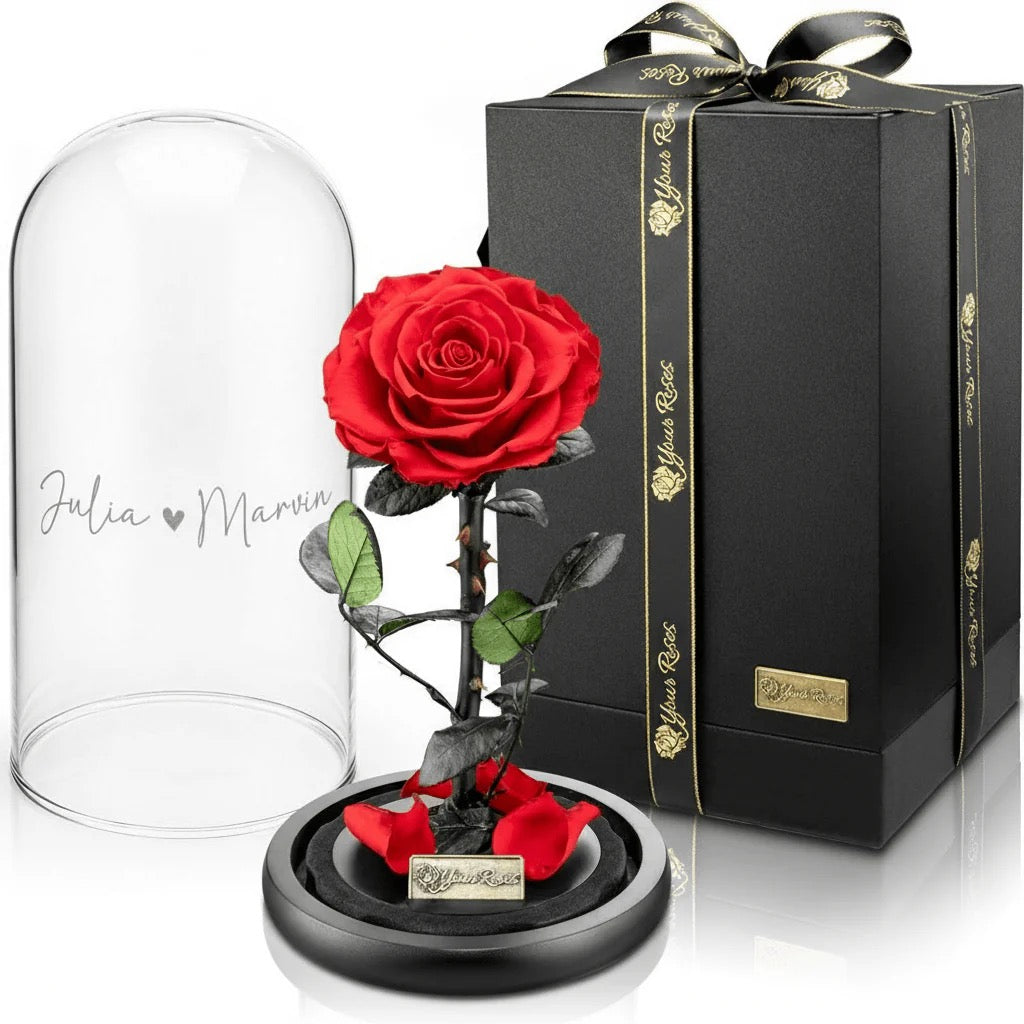 Konservierte Premium Rose im Glas mit Geschenkbox – Personalisiert mit Gravur