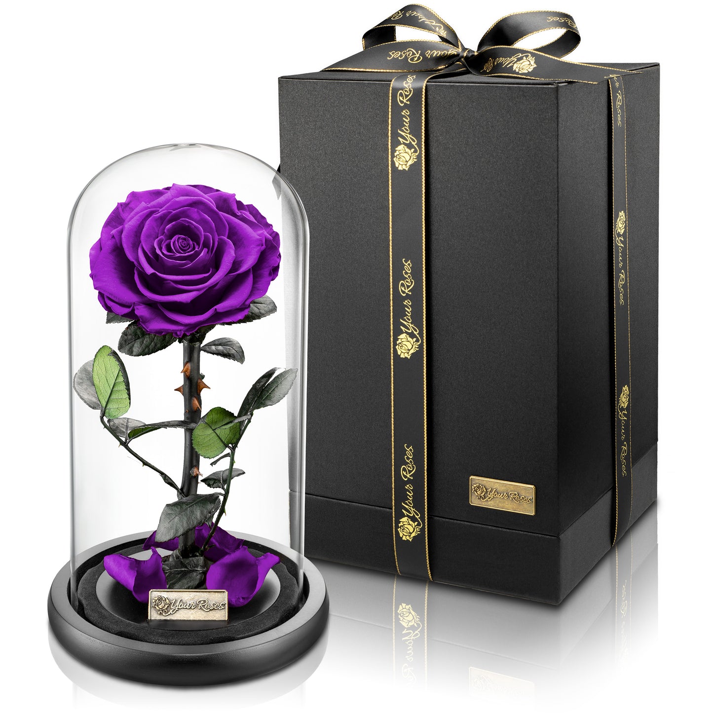 ose im Glas mit Geschenkbox – langlebiges Geschenk für Frauen, Liebe und Hochzeit