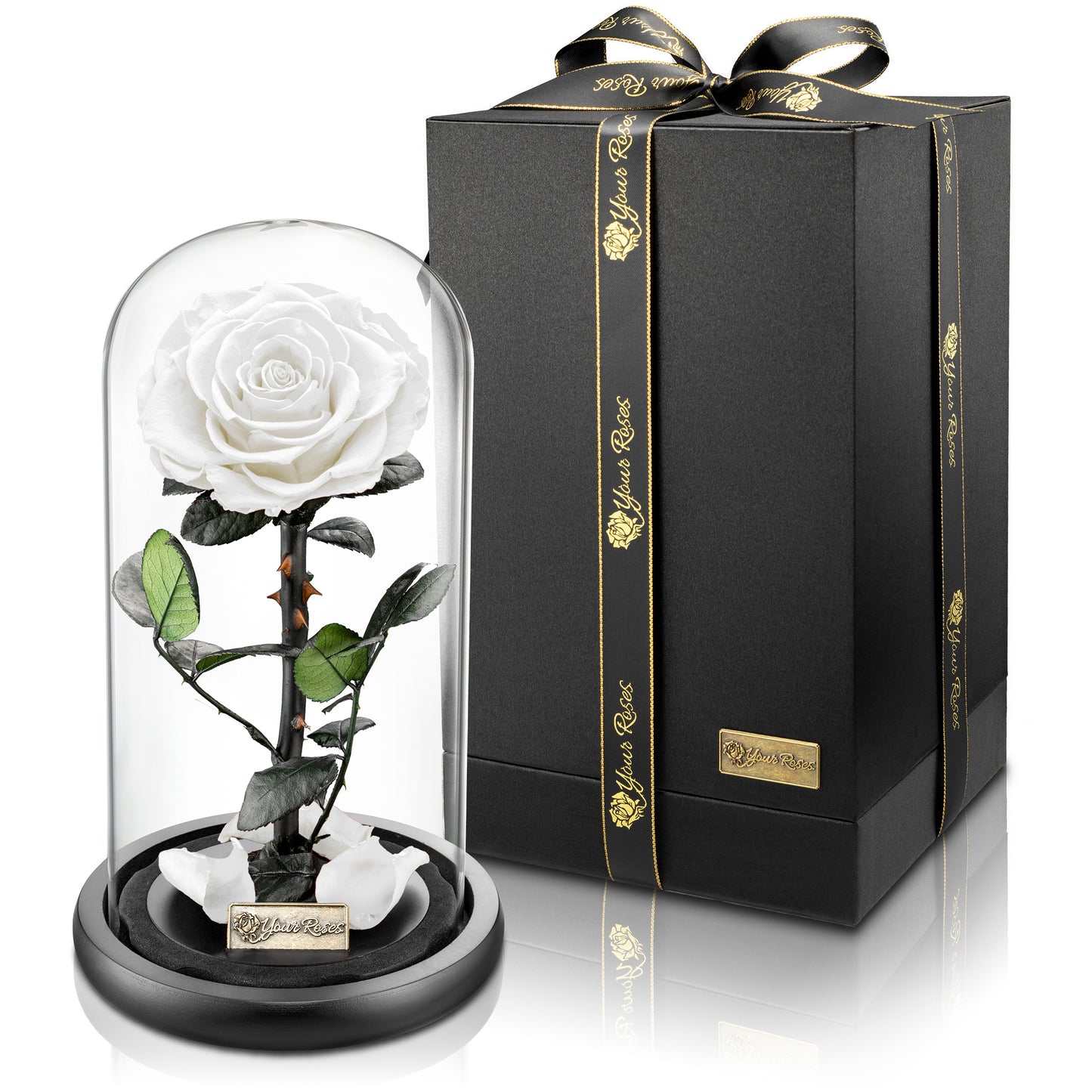 Große ewige Rose im Glas – dekoratives und romantisches Geschenk für besondere Momente