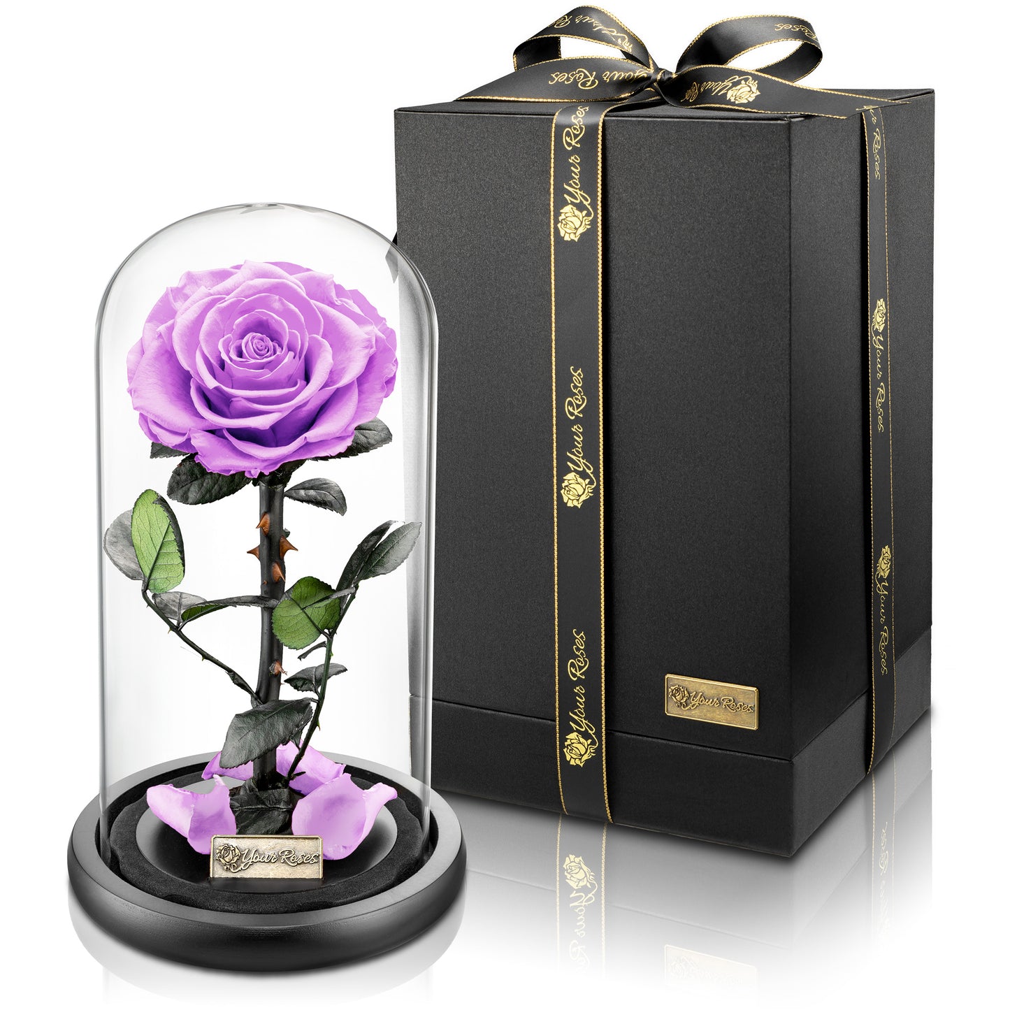 Premium-Rose Groß unter Glas – romantisches Geschenk für besondere Anlässe