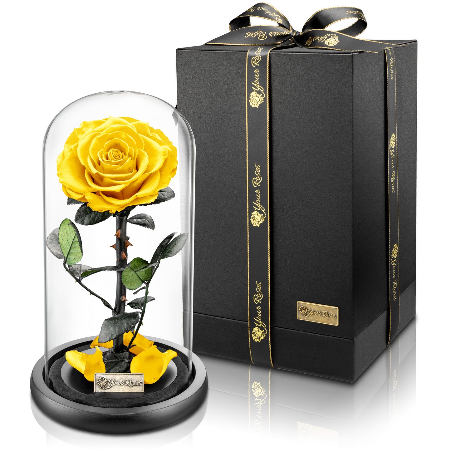 Konservierte Rose im Glas – luxuriöse Geschenkidee für Partnerin oder Freundin