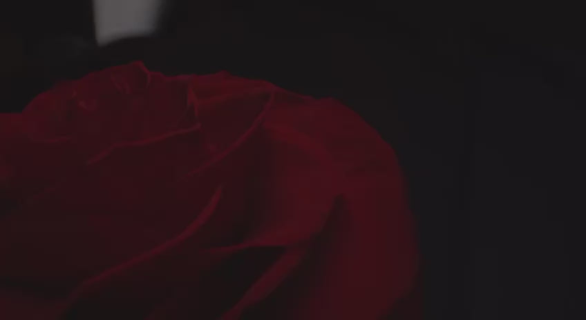 Große ewige Rose im Glas – romantisches Geschenk für Frauen zu Hochzeit oder Geburtstag
