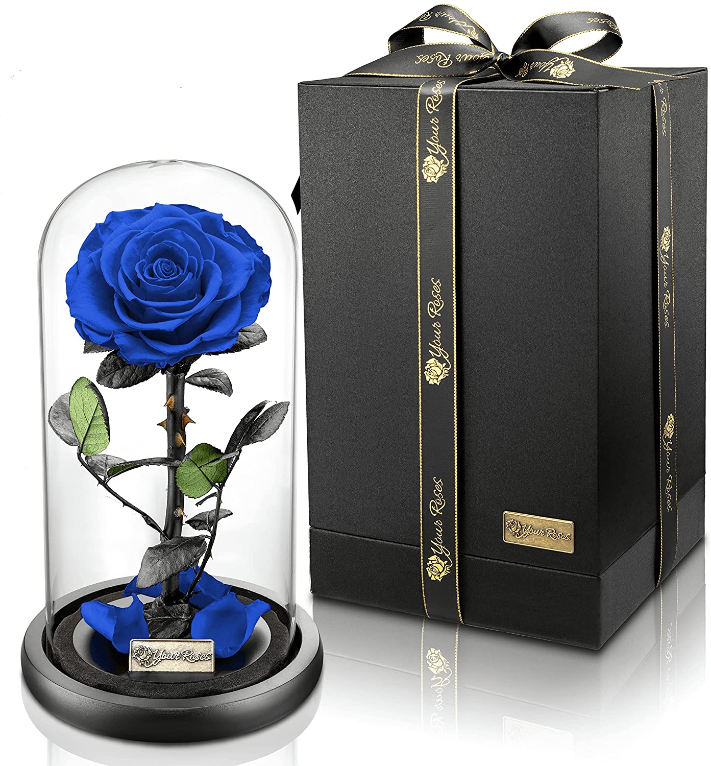 Rose im Glas Groß in Geschenkbox – romantisches Präsent für Liebe und Jubiläum