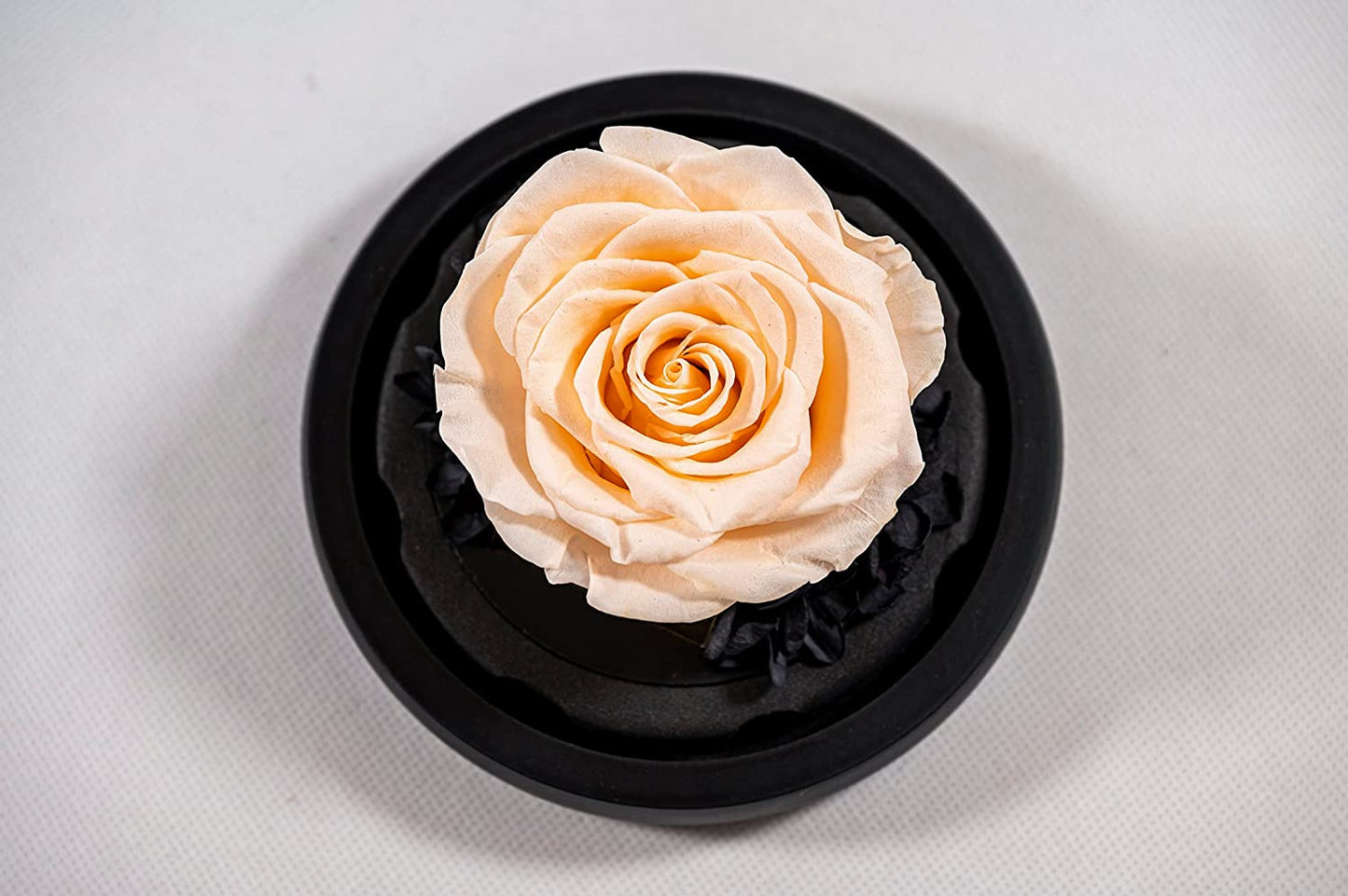 Ewige Rose unter Glas – luxuriöse Geschenkidee für Geburtstag, Hochzeit oder Valentinstag