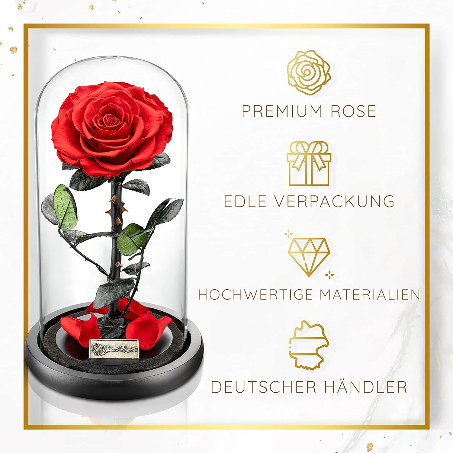 Ewige Rose im Glas – romantisches Geschenk für Frauen zu Hochzeit oder Geburtstag