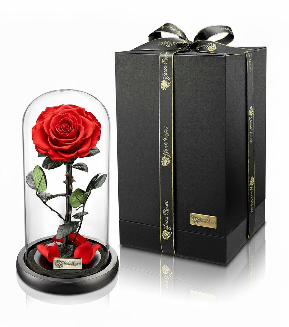 Große Premium Rose im Glas – konservierte Rose in eleganter Geschenkbox