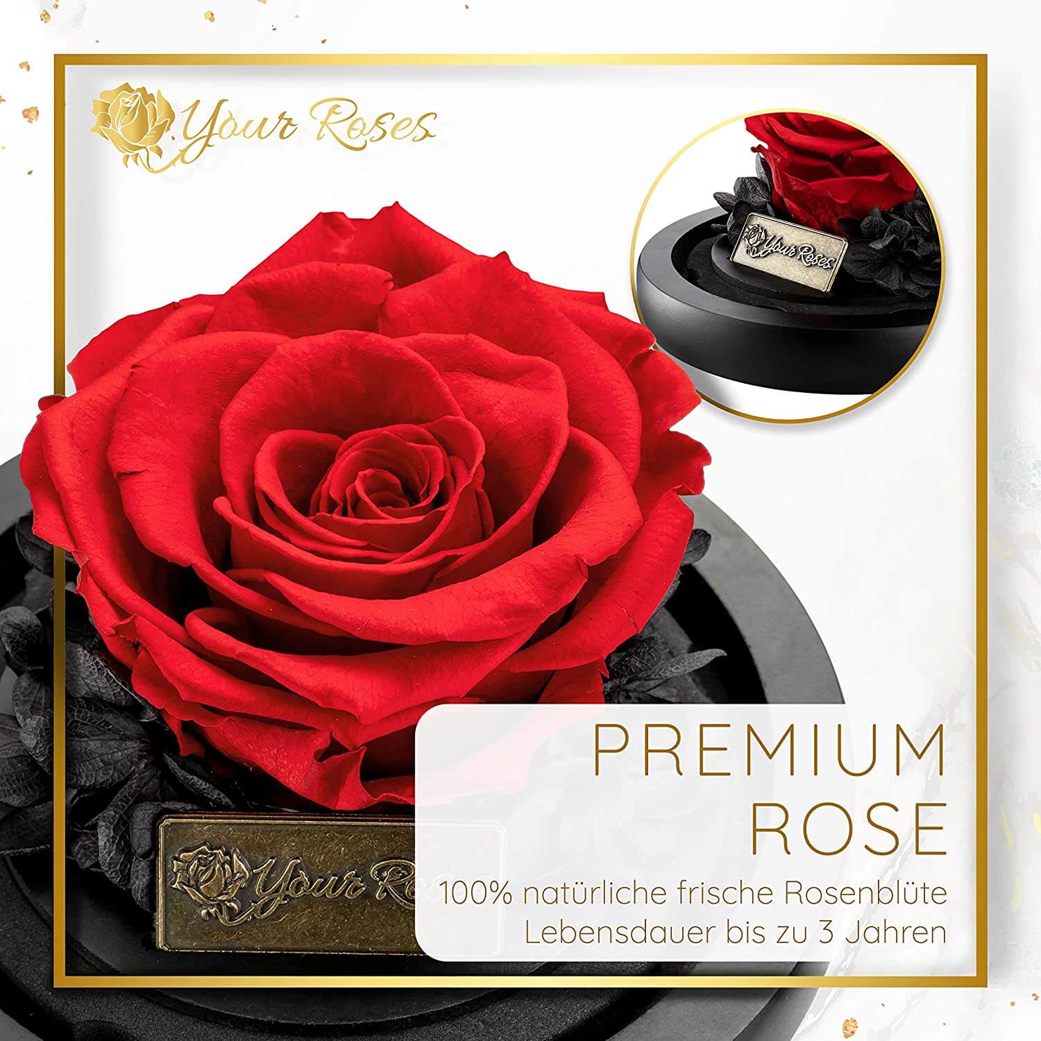 Premium Rose unter Glas in Geschenkbox – romantische Geschenkidee