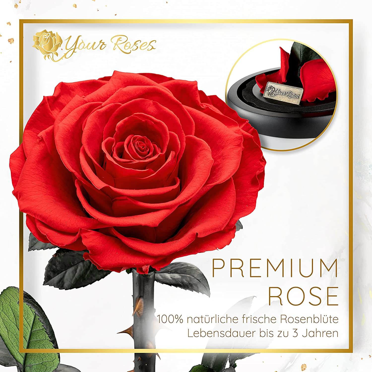 Premium-Rose in Glas – stilvolles Geschenk für besondere Anlässe und Liebe