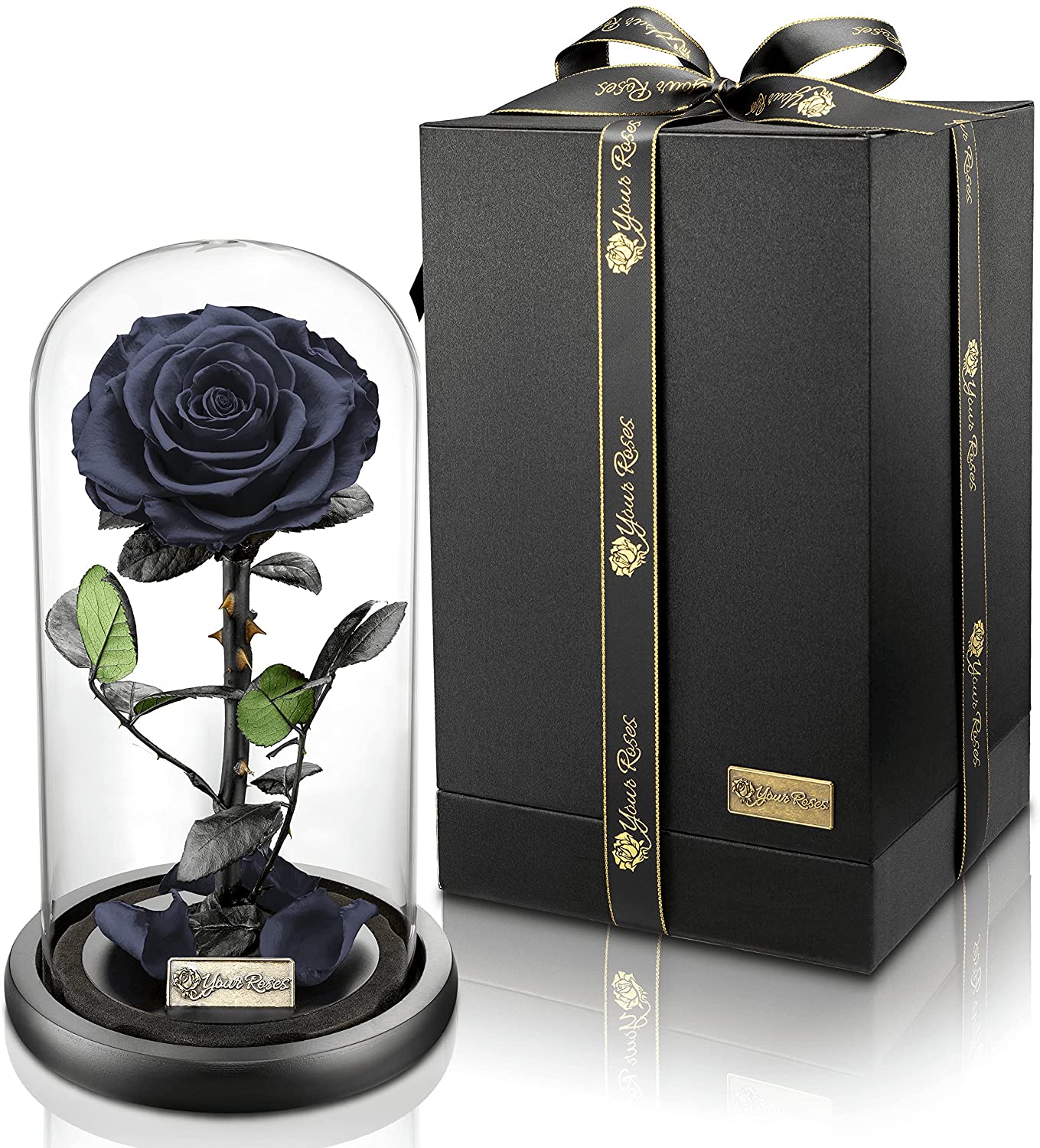 Echte Rose in Glas mit Geschenkbox – romantisches und stilvolles Präsent“